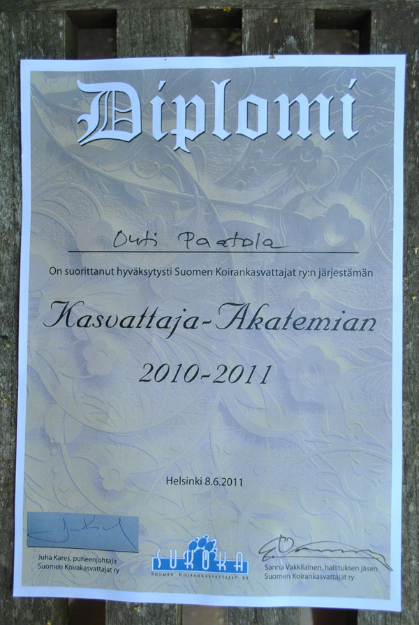Kasvattaja-Akatemian diplomi 2010-2011 SuKoKa ry